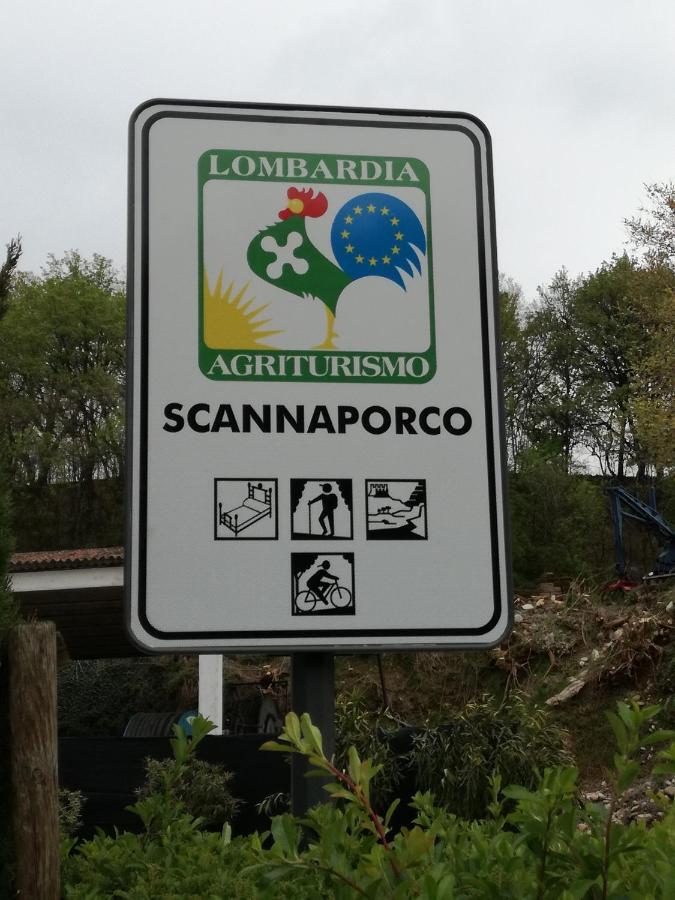 Agriturismo Scannaporco Cavriana Екстер'єр фото